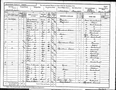WTE 1891 Census