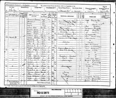 John Mills Whitham 1891 Census