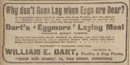 darts-eggmore